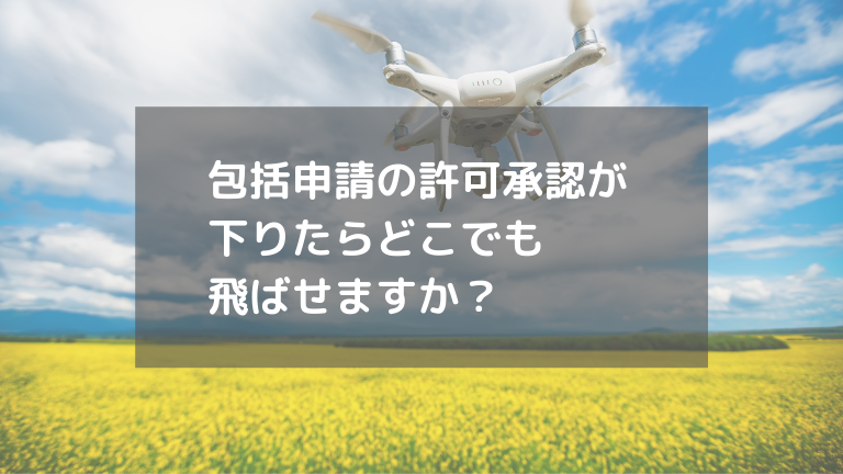 包括申請の許可承認が下りたらどこでも飛ばせますか？